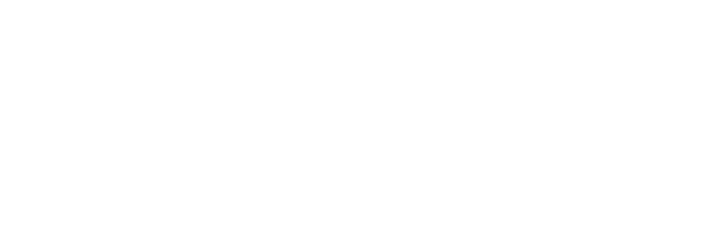 911 At Ease International logo